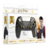 - PS5 - Harry Potter - Harry Potter