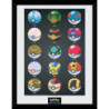 Telaio - Pokemon -  - Poké Ball