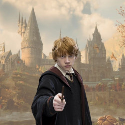 Bacchetta magica - Collezione di personaggi - Harry Potter -  - Ron Weasley