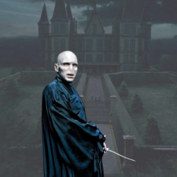 Baguette - Collection Personnages - Harry Potter - Voldemort