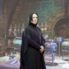 Baguette - Collection Personnages - Harry Potter - Severus Rogue