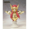 Figura statica - Myth Cloth - I Cavalieri dello zodiaco - OCE - Camus dell'Acquario
