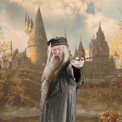 Zauberstab - Sammlung Charaktere - Harry Potter - Albus Dumbledore