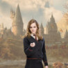 Bacchetta magica - Harry Potter -  - Hermione Granger