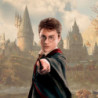 Baguette - Harry Potter - Harry Potter