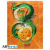 Plaque métallique - Dragon Ball - Shenron
