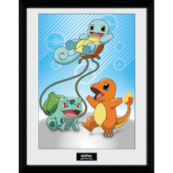 Cadre - Pokemon - Starters Kanto