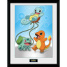 Rahmen - Pokemon - Starters Kanto