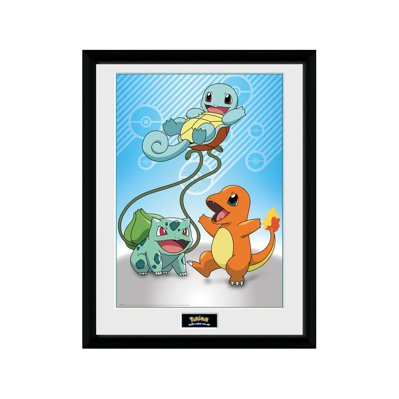 Telaio - Pokemon - Starters Kanto
