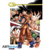 Poster - Arrotolato e termoretraibile - Dragon Ball -  - Son Goku
