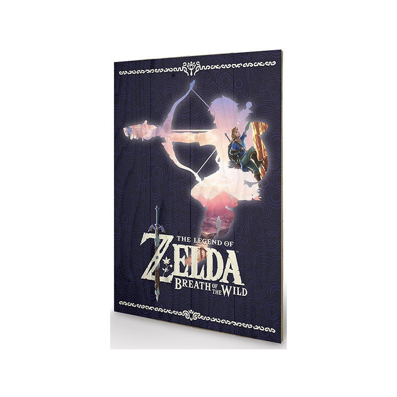 Canvas - Zelda - Silhouette