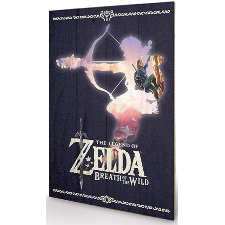 Canvas - Zelda - Silhouette