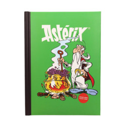 Notizbücher - Asterix & Obelix - Panoramix
