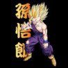 T-shirt - Dragon Ball - Son Gohan