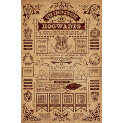 Poster - Harry Potter - Quidditch At Hogwarts