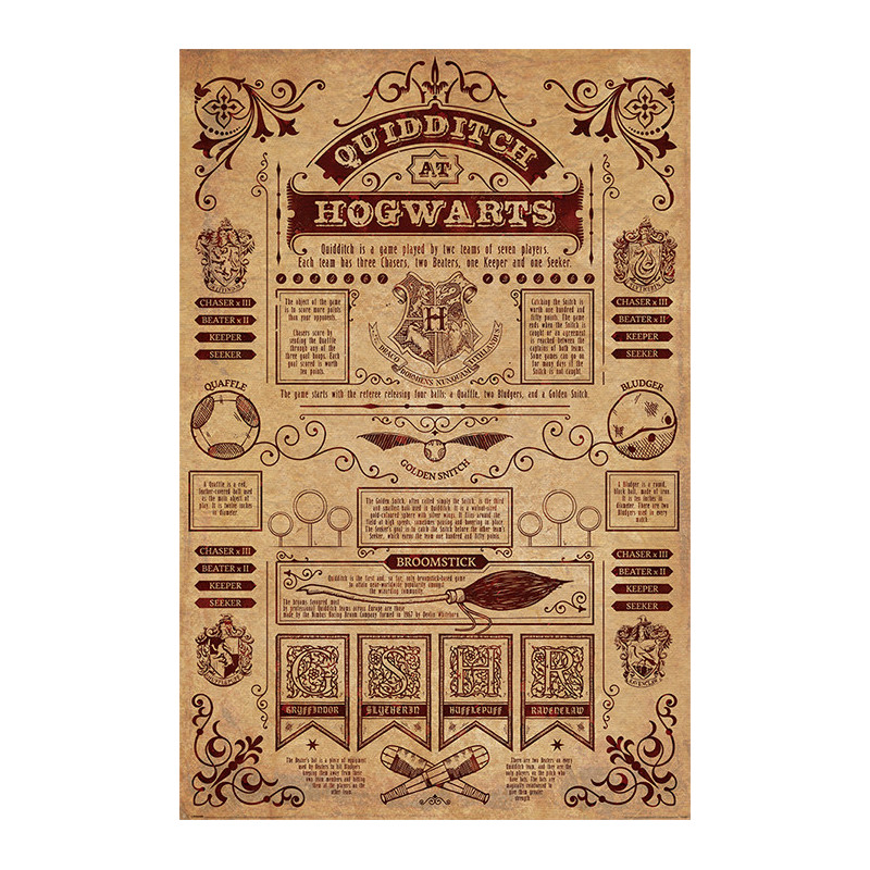 Poster - Harry Potter - Quidditch At Hogwarts