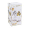 Verre - Thermo-réactif - Harry Potter - Poudlard