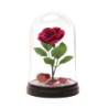 Veilleuse - La Belle et la Bête - La Rose enchantée