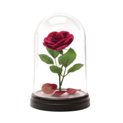 Luce notturna - La Bella e la Bestia - La rosa incantata