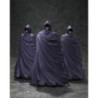 Figura statica - I Cavalieri dello zodiaco - The Three Mysterious Surplis