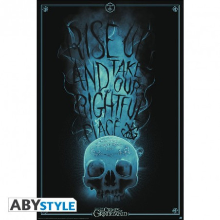 Poster - Arrotolato e termoretraibile - Harry Potter - Rise UP