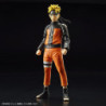 Modell - Figure Rise - Naruto - Naruto Uzumaki
