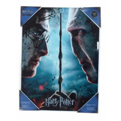 Telaio - Harry Potter -  - Doni della Morte