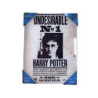 Telaio - Harry Potter - Wanted