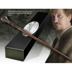 Zauberstab - Sammlung Charaktere - Harry Potter - Remus Lupin