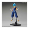 Modell - Figure Rise - Dragon Ball - Super Saiyan Blue - Vegetto