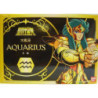 Action Figure - Saint Seiya - Aquarius Camus