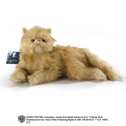 Peluche - Harry Potter - Pattenrond
