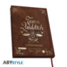 Notizbücher - Harry Potter - Quidditch