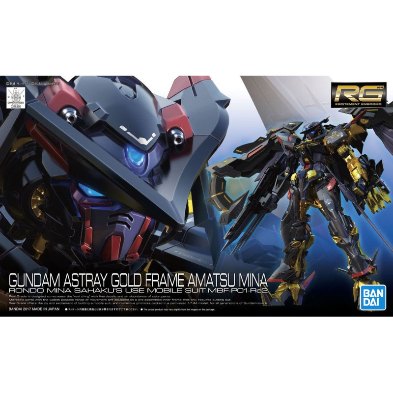 Modello - Real Grade - Gundam -  - Astray
