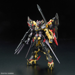 Modello - Real Grade - Gundam -  - Astray