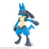 Modello - Pokepla - Pokemon - Riolu & Lucario