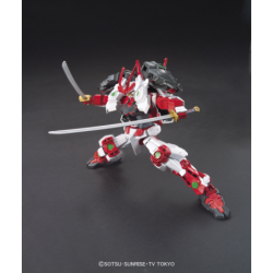 Model - High Grade - Gundam - Astray