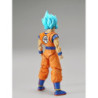 Modello - Figure Rise - Dragon Ball -  - Son Goku