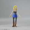 Modello - Figure Rise - Dragon Ball -  - Numero 18