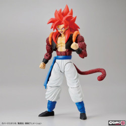 Modello - Figure Rise - Dragon Ball - Super Saiyan 4 - Gogeta