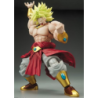 Modello - Figure Rise - Dragon Ball -  - Brolis