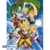Poster - Confezione da 2 - Dragon Ball - Groups