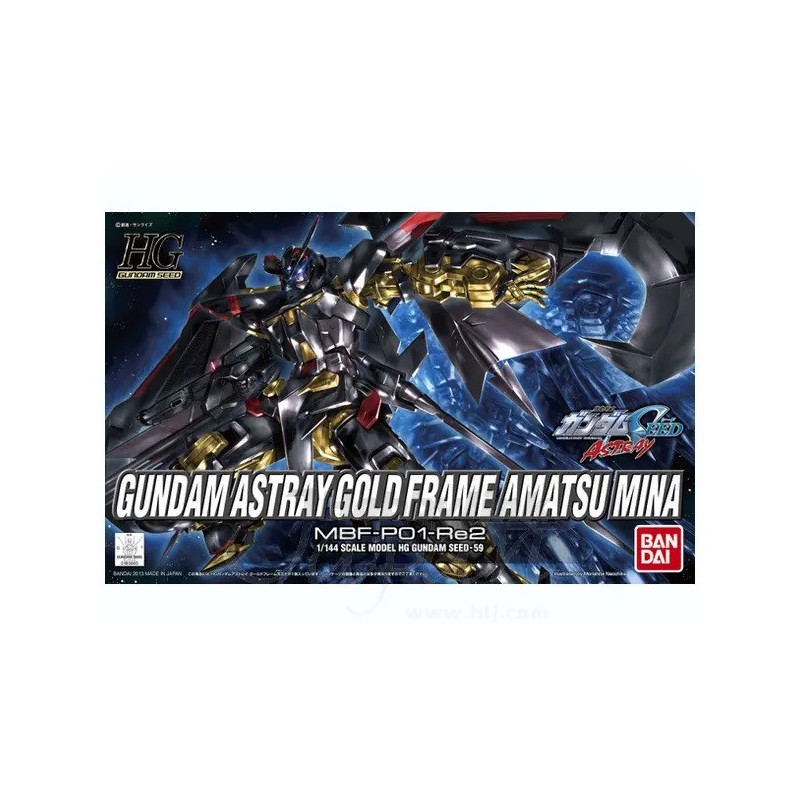 Modello - High Grade - Gundam -  - Astray