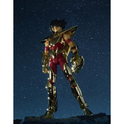 Figura articolata - Myth Cloth - I Cavalieri dello zodiaco -  - Pegasus Seiya