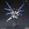 Modello - High Grade - Gundam -  - Strike Freedom