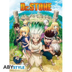 Poster - À plat - Dr. Stone - Groupe