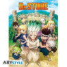 Poster - Piatto - Dr. Stone - Group