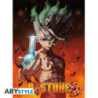 Poster - À plat - Dr. Stone - Senku Ishigami