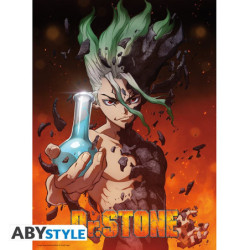Poster - Piatto - Dr. Stone -