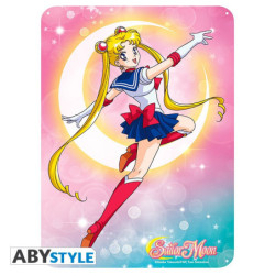 Piastra di metallo - Sailor Moon -  - Sailor Moon